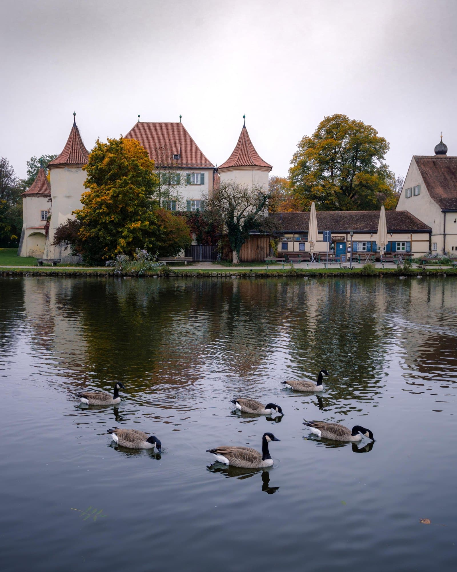 Geese swimming on still water on an overcast autumn afternoon, below a turreted lakeside house and autumn trees.